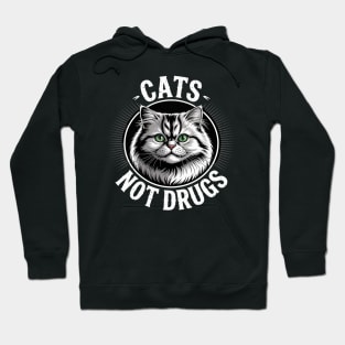 Cats Not Drugs Munchkin British Longhair Hoodie